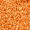 Baking Paint Glass Seed Beads SEED-S042-05A-30-3
