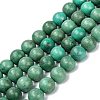 Natural Howlite Beads Strands G-C180-16D-1