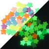 Luminous Acrylic Beads LUMI-PW0001-174B-2