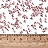 6/0 Transparent Glass Seed Beads SEED-F003-03A-03-4