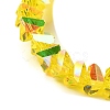 Transparent Glass Beads Strands EGLA-P061-04A-AB08-3