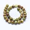 Natural Bloodstone Beads Strands G-I213-25-12mm-2