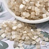 MIYUKI TILA Beads SEED-MY05-TL2593-1