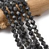 Natural Larvikite Beads Strands G-Z119-A32-01-1