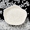 Glass Seed Beads SEED-H002-E-A141-2