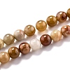 Natural Petrified Wood Beads Strands G-O199-06A-1