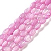 Natural Trochus Shell Beads Strands SHEL-K006-19-2