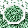 Baking Paint Pearlized Glass Seed Beads SEED-T008-03R-2