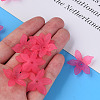 Transparent Acrylic Beads X-MACR-S373-127-D-3