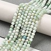 Natural Green Opal Beads Strands G-Z035-A02-02B-2