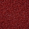 MIYUKI Round Rocailles Beads X-SEED-G007-RR0141-3