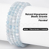 2 Strands Natural Aquamarine Beads Strands G-OC0005-41-4