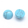 Synthetic Turquoise Cabochons X-G-P393-R13-6mm-2