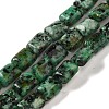 Dyed Natural African Turquoise(Jasper) Beads Strands G-G085-A06-01-1