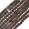 Natural Bronzite Beads Strands G-G085-B60-02-2