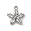Brass Micro Pave Cubic Zirconia Charms LS-KK-D371-04F-P-1