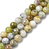 Natural Green Opal Beads Strands G-C029-02A-1