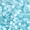 600Pcs Drawbench Style Glass Seed Beads SEED-PA0001-25A-7