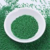 MIYUKI Delica Beads LS-X-SEED-J020-DB0655-2