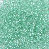 6/0 Glass Seed Beads SEED-A015-4mm-2219-2