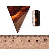 18Pcs 9 Styles Transparent & Opaque Resin & Walnut Wood Pendants RESI-N053-07-3