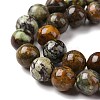 Natural Gemstone Beads Strands G-C238-02B-4