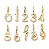 304 Stainless Steel Charms SA-CBA9F11-01G-1