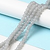 Imitation Jade Glass Beads Strands DGLA-S076-6mm-30-4
