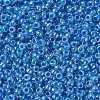 TOHO 8/0 Round Beads X-SEED-TR08-0917-2