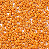 12/0 Glass Seed Beads SEED-S060-A-F429-3