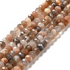 Natural Multi-Moonstone Beads Strands G-I341-06-2
