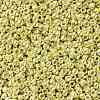 TOHO 11/0 Round Beads SEED-TR11-0559-2