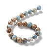 Dyed Natural Regalite/Imperial Jasper/Sea Sediment Jasper Beads Strands G-B124-C01-03-3