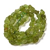 Raw Rough Natural Peridot Beads Strands G-I283-G07-02-3