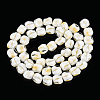 Handmade Milleflori Glass Beads Strands X-LAMP-M018-01A-09-2