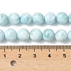 Natural Larimar Beads Strands G-B141-01-8mm-5
