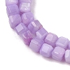 Natural Freshwater Shell Dyed Beads Strands SHEL-R100-11A-04-3