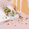 5Bags 5 Colors Glass Chip Beads GLAA-TA0002-40-4