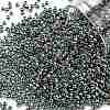 TOHO 11/0 Round Beads X-SEED-TR11-0990-1