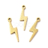 Ion Plating(IP) 316L Surgical Stainless Steel Pendants STAS-H213-01G-3