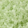Transparent Colours Glass Seed Beads SEED-P007-01A-02-3