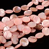 Natural Shell Beads Strands X-PBB251Y-6-1