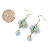 Lantern 304 Stainless Steel Synthetic Imperial Jasper Dangle Earrings EJEW-MZ00609-01-4