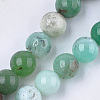 Natural Chrysoprase Beads Strands G-S333-12mm-037-1