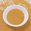 MIYUKI Delica Beads SEED-JP0008-DB0651-2