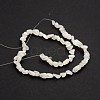 Natural White Moonstone Bead Strands G-J280-01-2