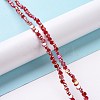Electroplate Glass Beads Strands GLAA-E036-04E-2