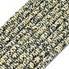 Frosted Natural Dalmatian Jasper Beads Strands G-K389-C22-01-2