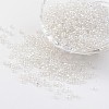 Round 8/0 Glass Seed Beads X-SEED-A006-3mm-101-1