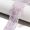 Natural Lavender Amethyst Beads Strands G-H042-B24-01-2
